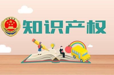 知識(shí)產(chǎn)權(quán)獲得情況及其對(duì)產(chǎn)品服務(wù)的技術(shù)支撐作用